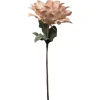 AU MAISON 976-489-533-502 Blomst Pulverrose