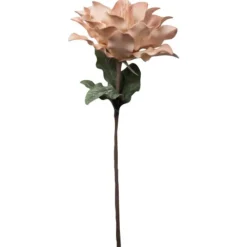 AU MAISON 976-489-533-502 Blomst Pulverrose