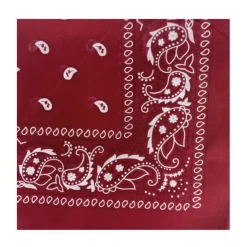 BELLA BALLOU Filuca Scarf Wine