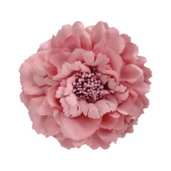 BLACK COLOUR Julita Brooch Dust Rose