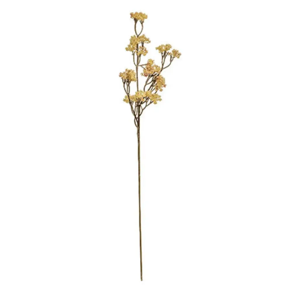 BUNGALOW Cornelian Cherry Flower Sunshine