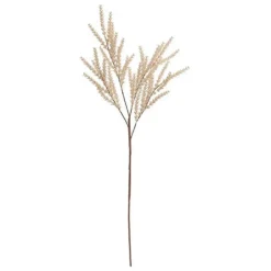 BUNGALOW Oat Branch Creme