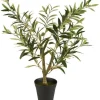 IB LAURSEN 9895-00 Olivenbusk i Potte