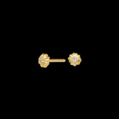 MAANESTEN Caia Earrings (guld/sølv)