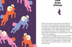 NEW MAGS Book Aries