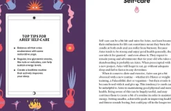 NEW MAGS Book Aries