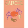 NEW MAGS Book Cancer