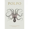 NEW MAGS Book Polpo