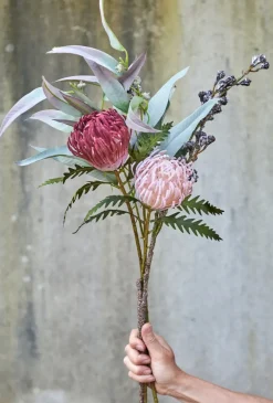 SPEEDTSBERG 214931 Eukalyptus