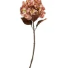 SPEEDTSBERG 204963 Hortensia