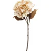 SPEEDTSBERG 204959 Hortensia