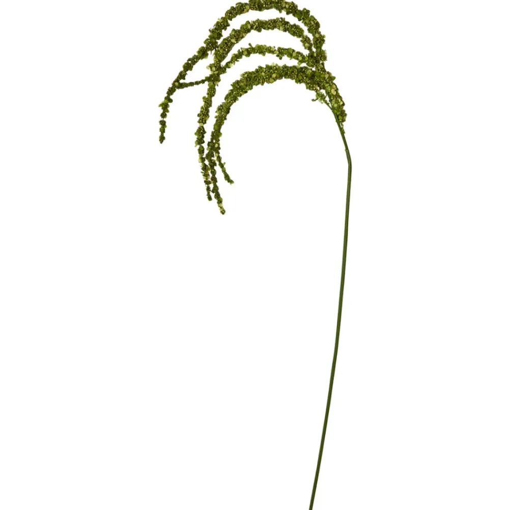 SPEEDTSBERG 235081 Rævehale Green